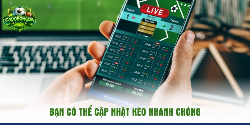 Bạn có thể cập nhật kèo nhanh chóng