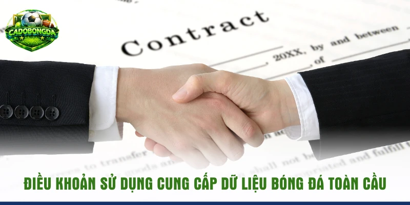 Điều khoản sử dụng cung cấp dữ liệu bóng đá toàn cầu