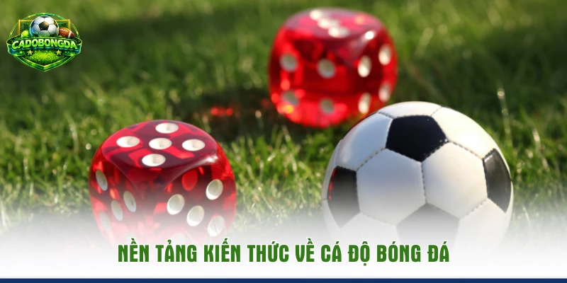 Nền tảng kiến thức về cá độ bóng đá