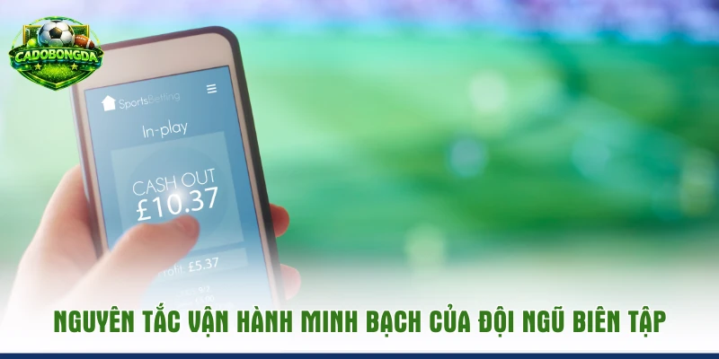 Nguyên tắc vận hành minh bạch của đội ngũ biên tập