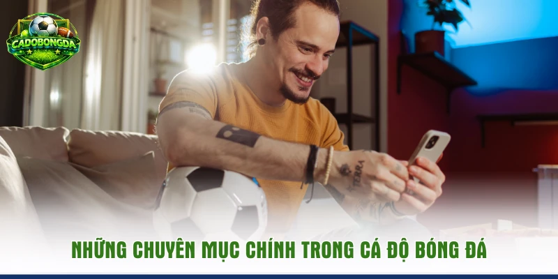 Những chuyên mục chính trong Cá Độ Bóng Đá