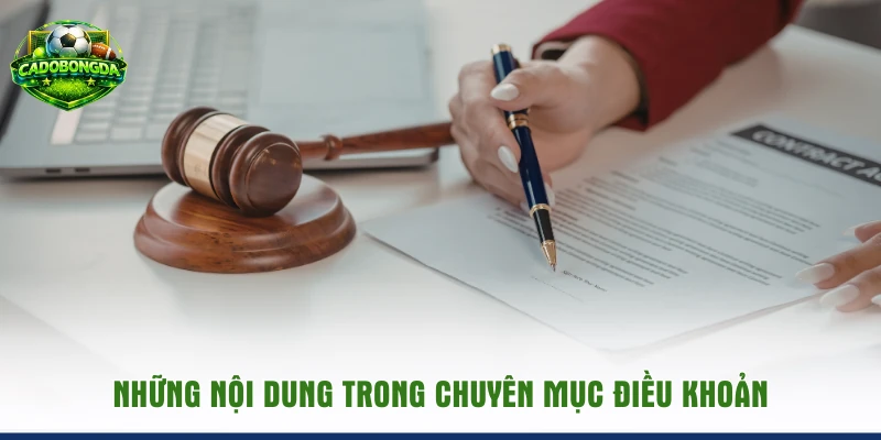 Những nội dung trong chuyên mục điều khoản