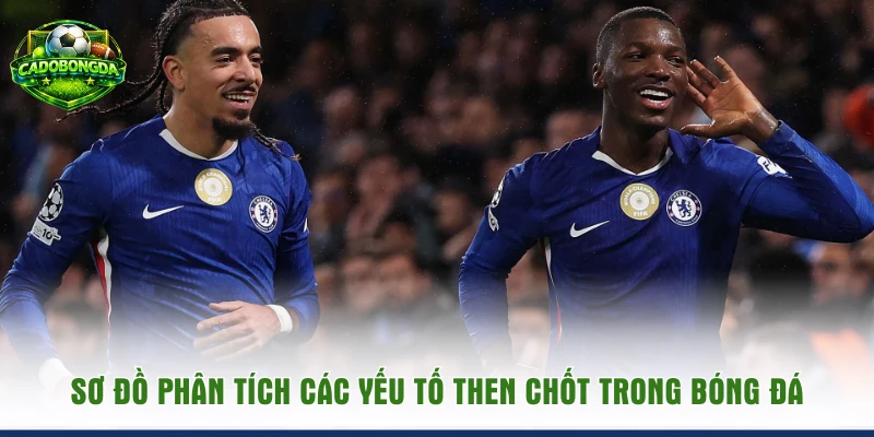 Sơ đồ phân tích các yếu tố then chốt trong bóng đá