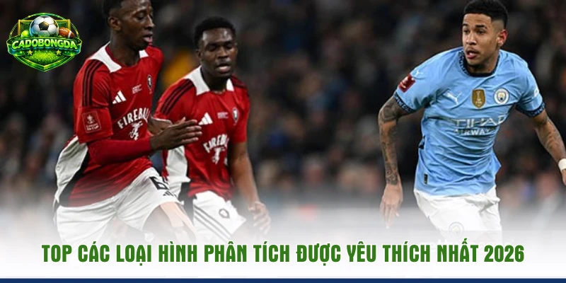 Top các loại hình phân tích được yêu thích nhất 2026